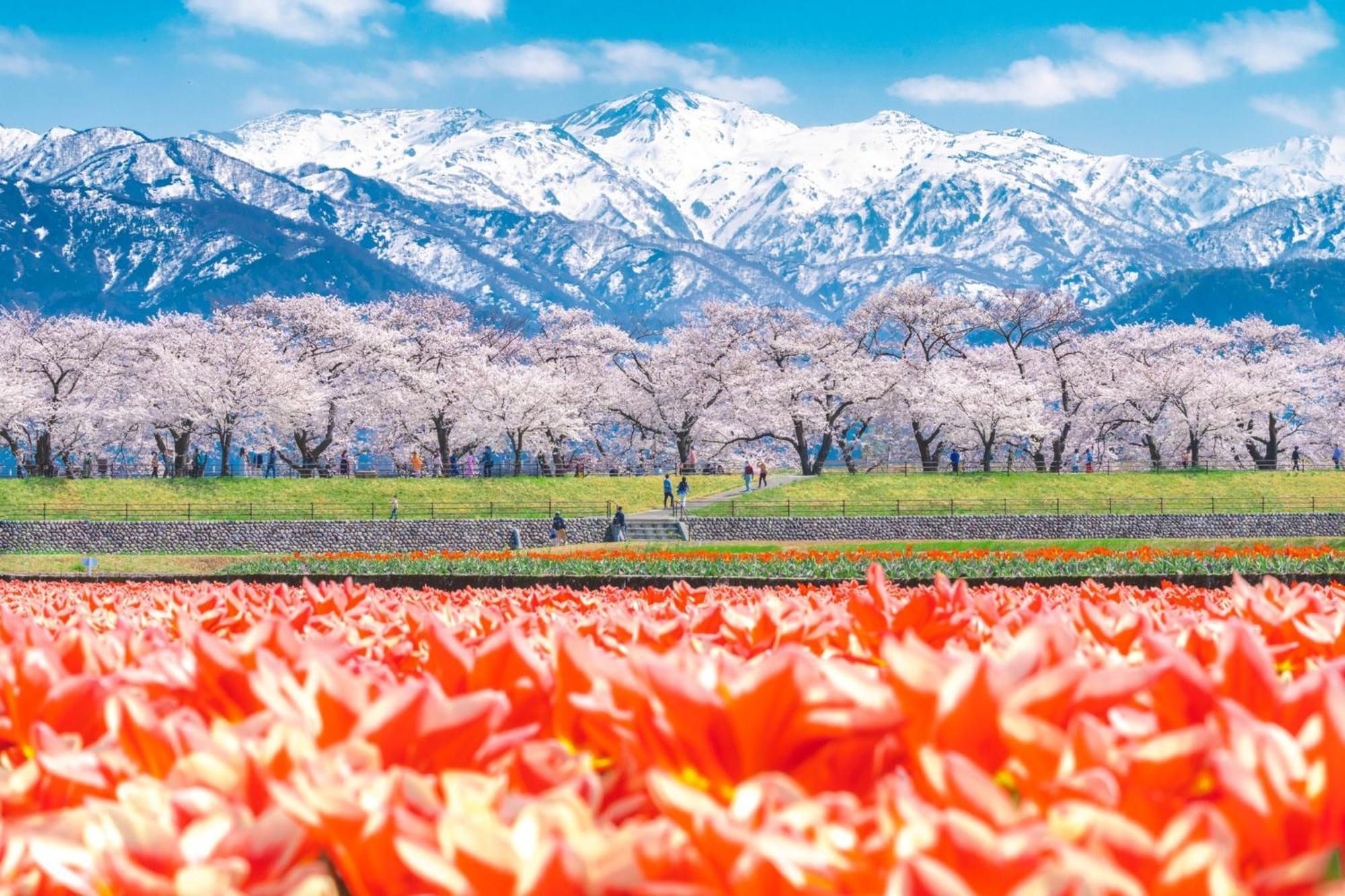 Ana Crowne Plaza Toyama By Ihg Hotel Bagian luar foto